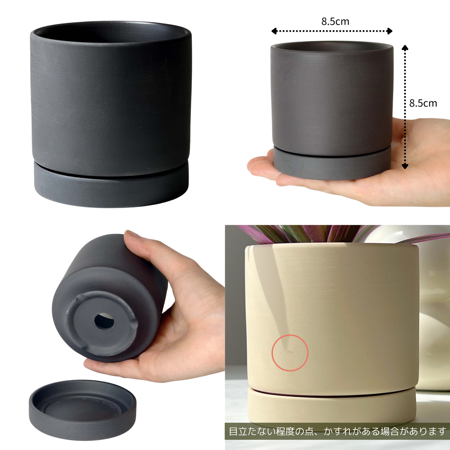 イレシネ レッド