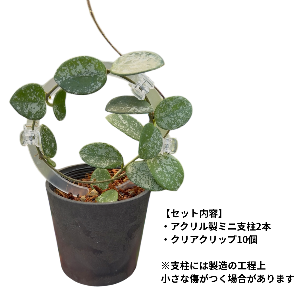 【送料無料】ミニ支柱2本+クリアクリップ10個セット