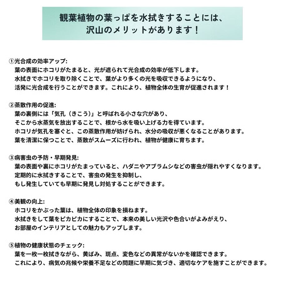 葉っぱの水拭きグローブ DUSTING GLOVE