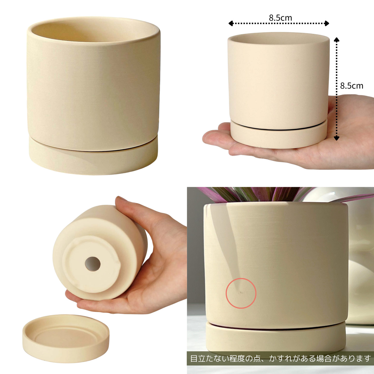イレシネ レッド