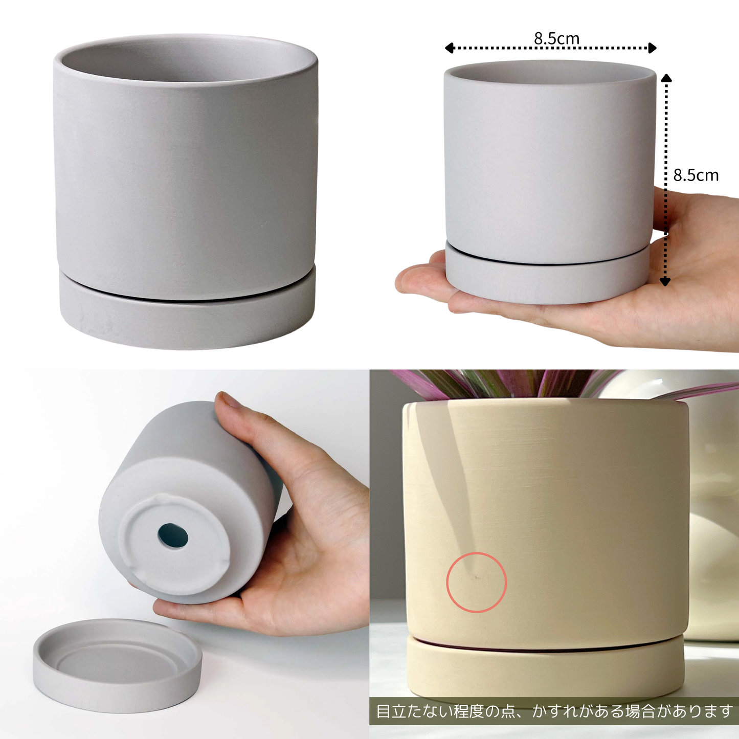 イレシネ マルチカラー