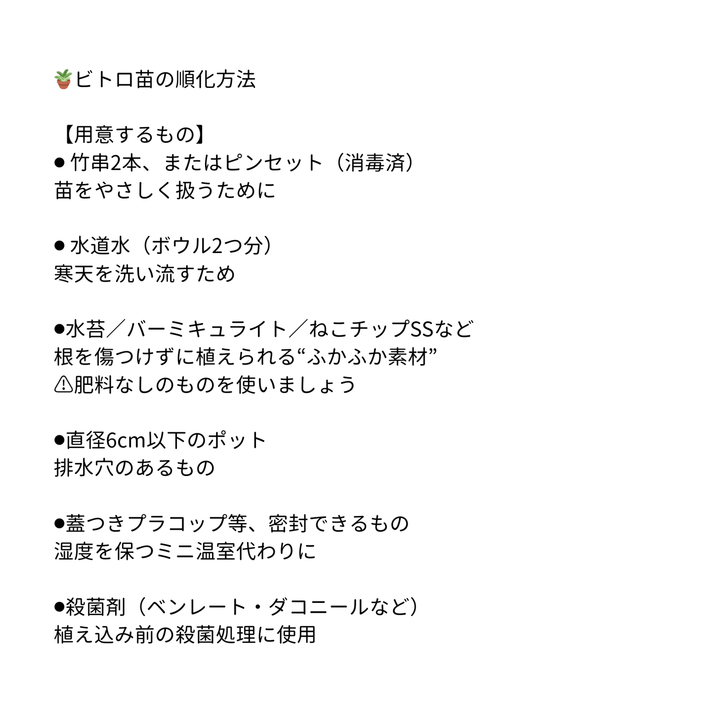 モンステラ デリシオーサ バールマルクスフレイム 組織培養(Tissue Culture)株 ビトロ苗 瓶入り 無菌苗 TC株