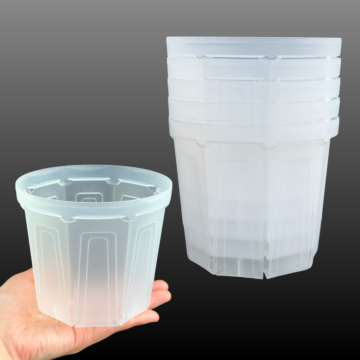 透明スリット鉢 2.5号/3号/4号 根が見える 日本製 兼弥産業 観葉植物 プラスチック クリア ポット 塊根植物 果樹苗 野菜苗 ハーブ