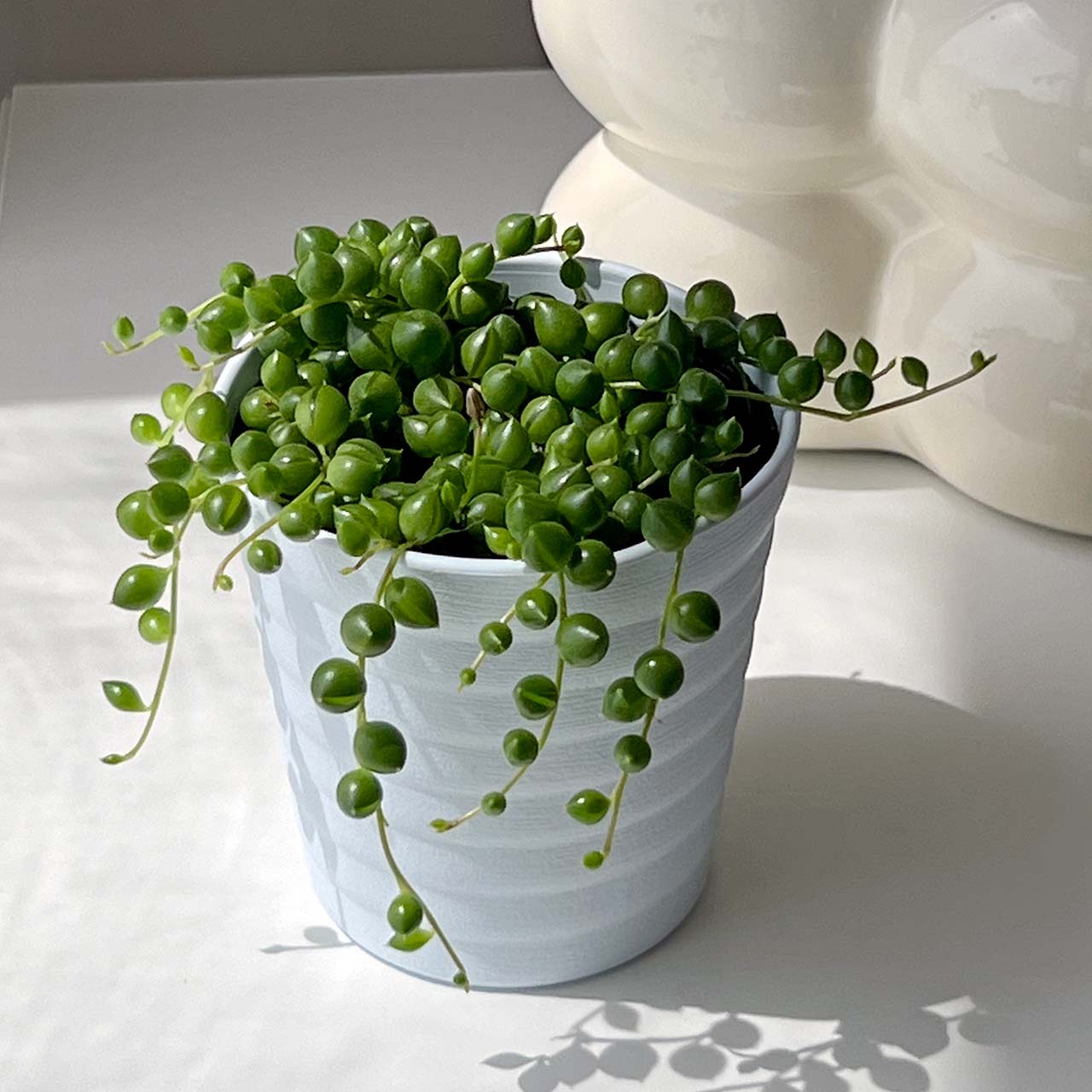 グリーンネックレス