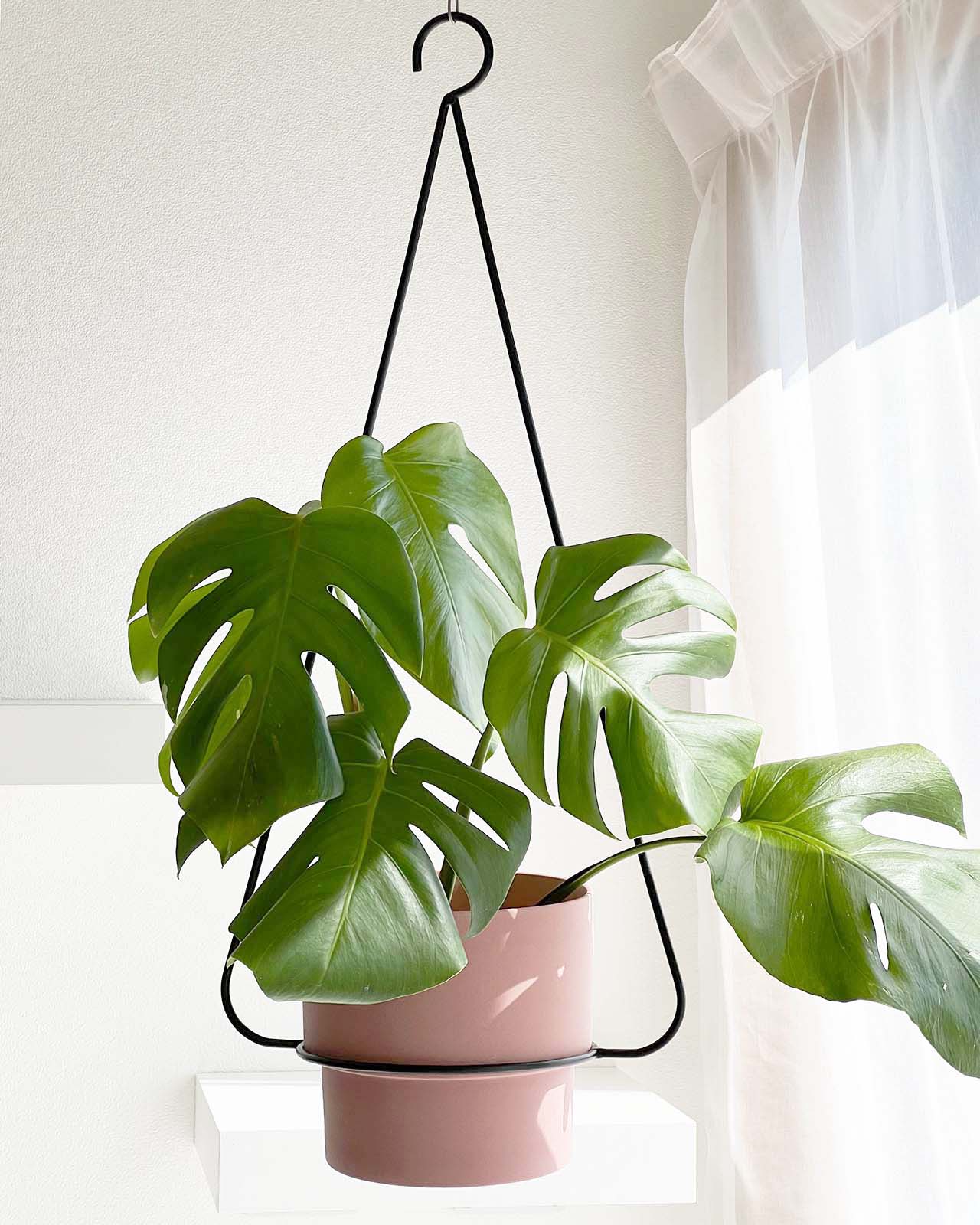 ポットハンガー サークル内寸15cm (鉢用ハンガー)金属製