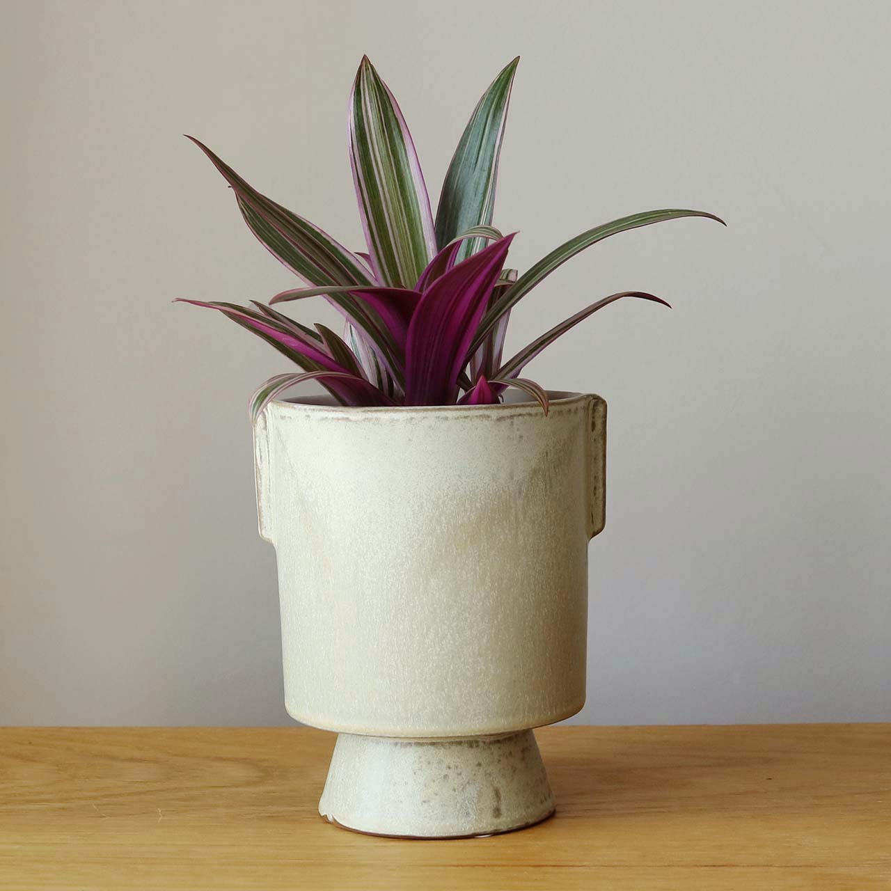 テルエス14 陶器 鉢カバー 3号