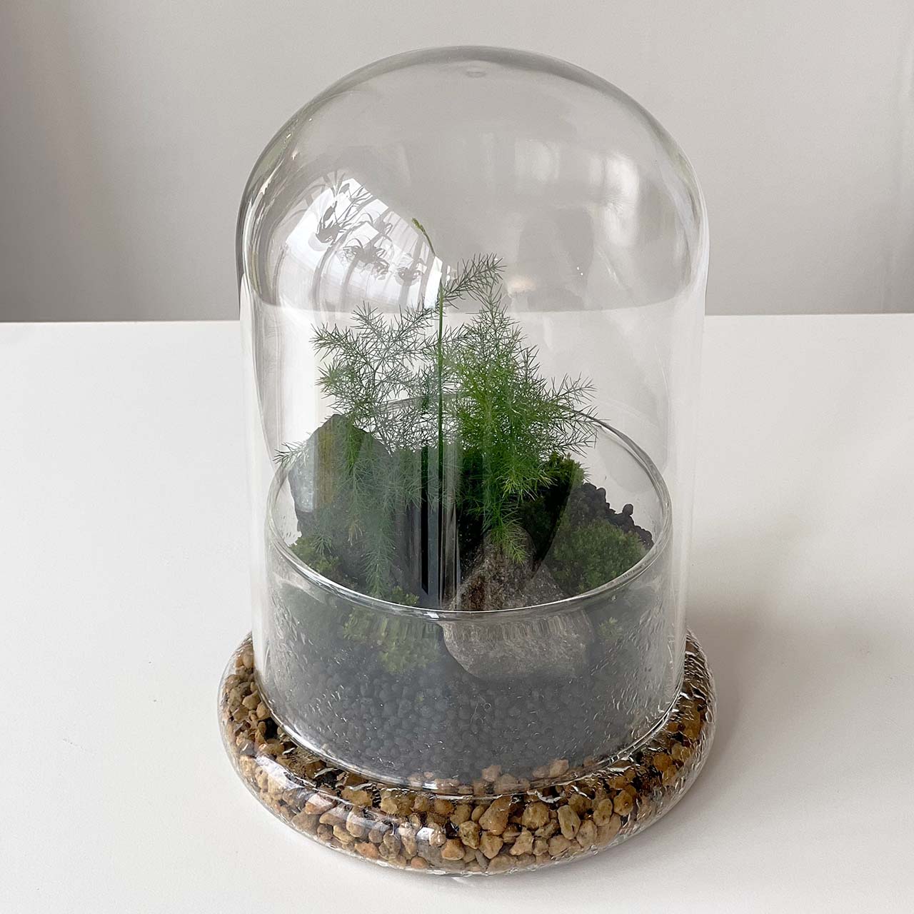 テラリウム ガラスケース ガラスドーム マイクロランドスケープ 苔リウム ケース