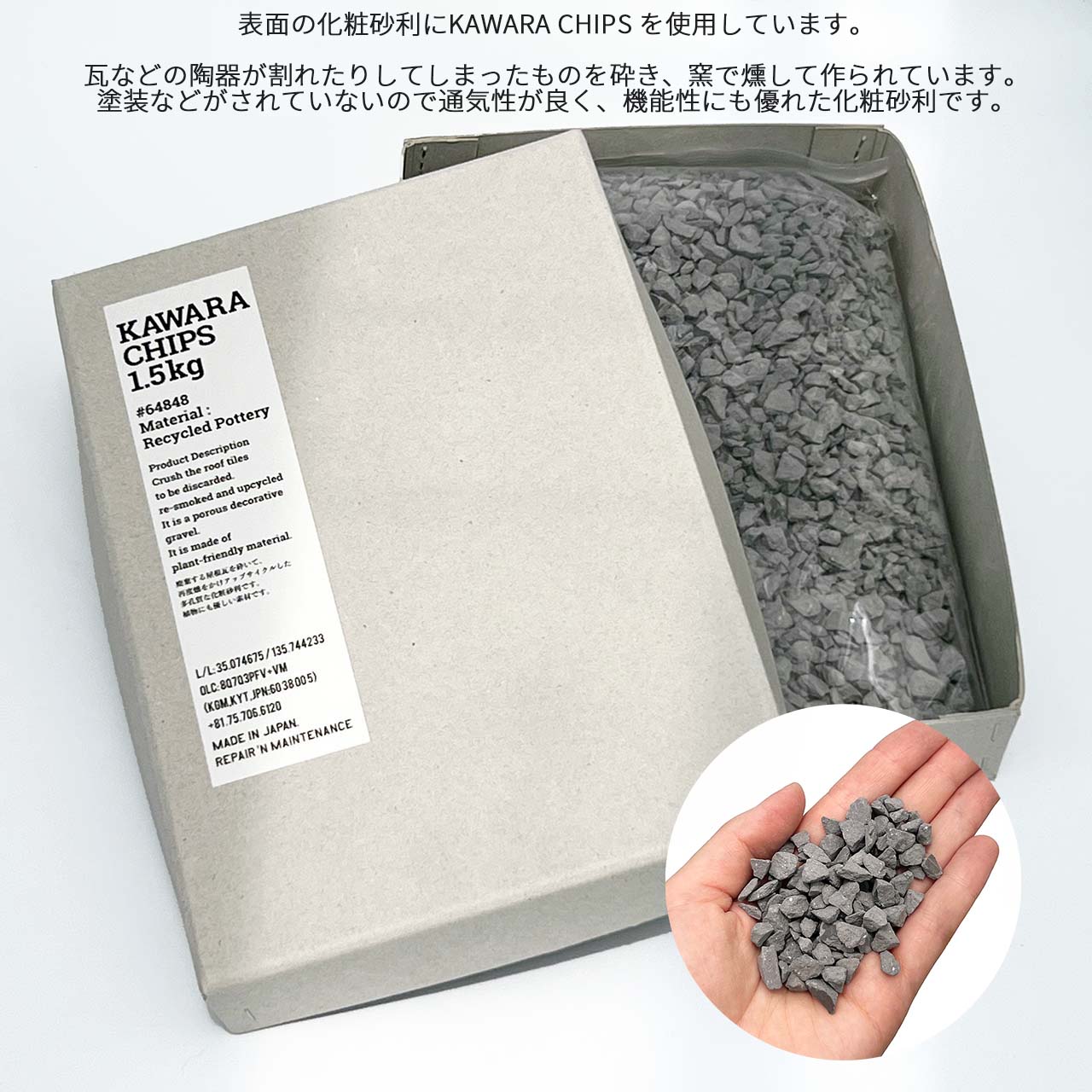 【現品販売】ユーフォルビア峨眉山(ガビザン) 3号 BLACK PLASTIC POT 10cm×8cm 黒 プラ鉢 受け皿付き ビザール 珍奇植物