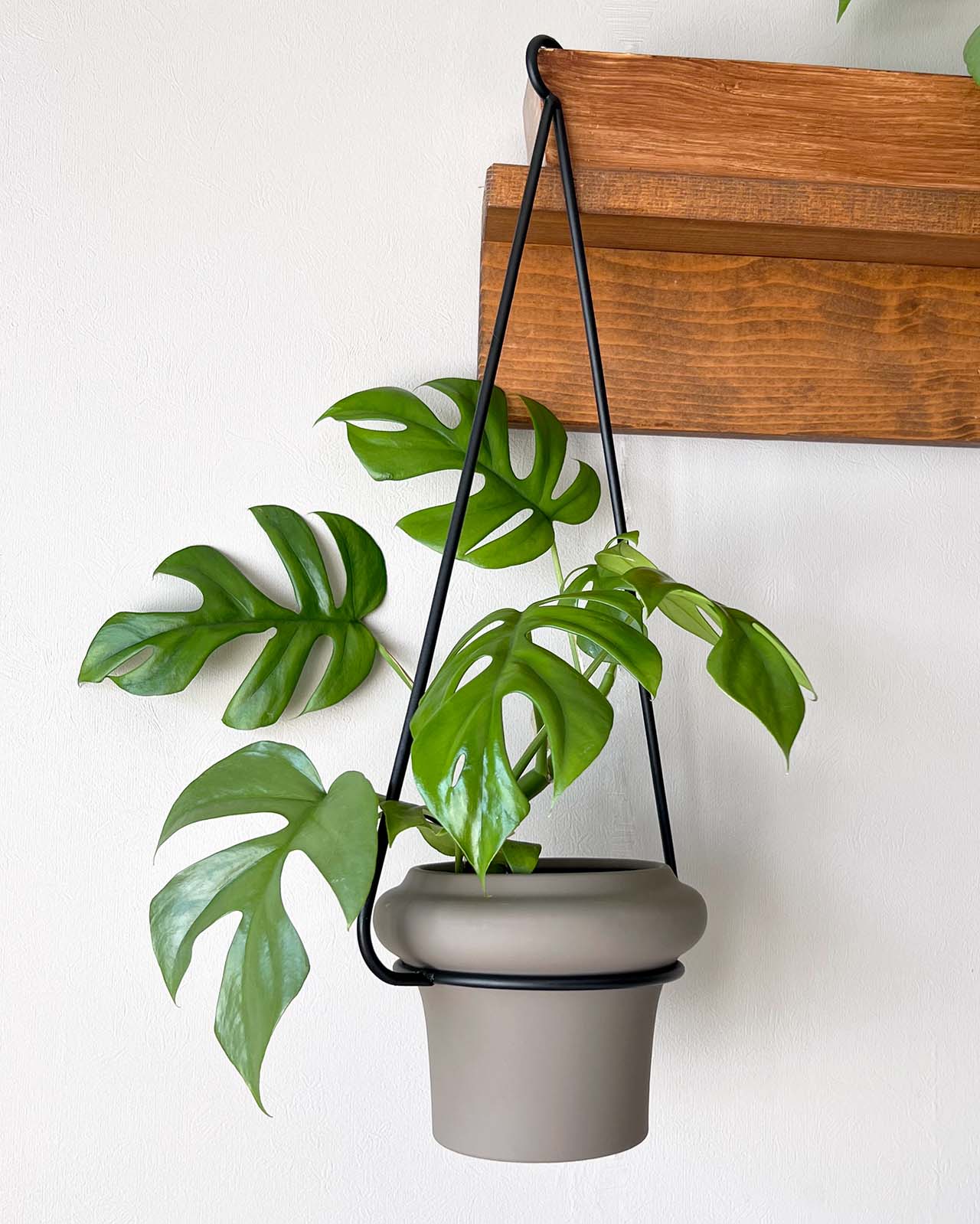 金属製ハンガー ※ハンガーのみの販売ページです。鉢や植物は付属しません。