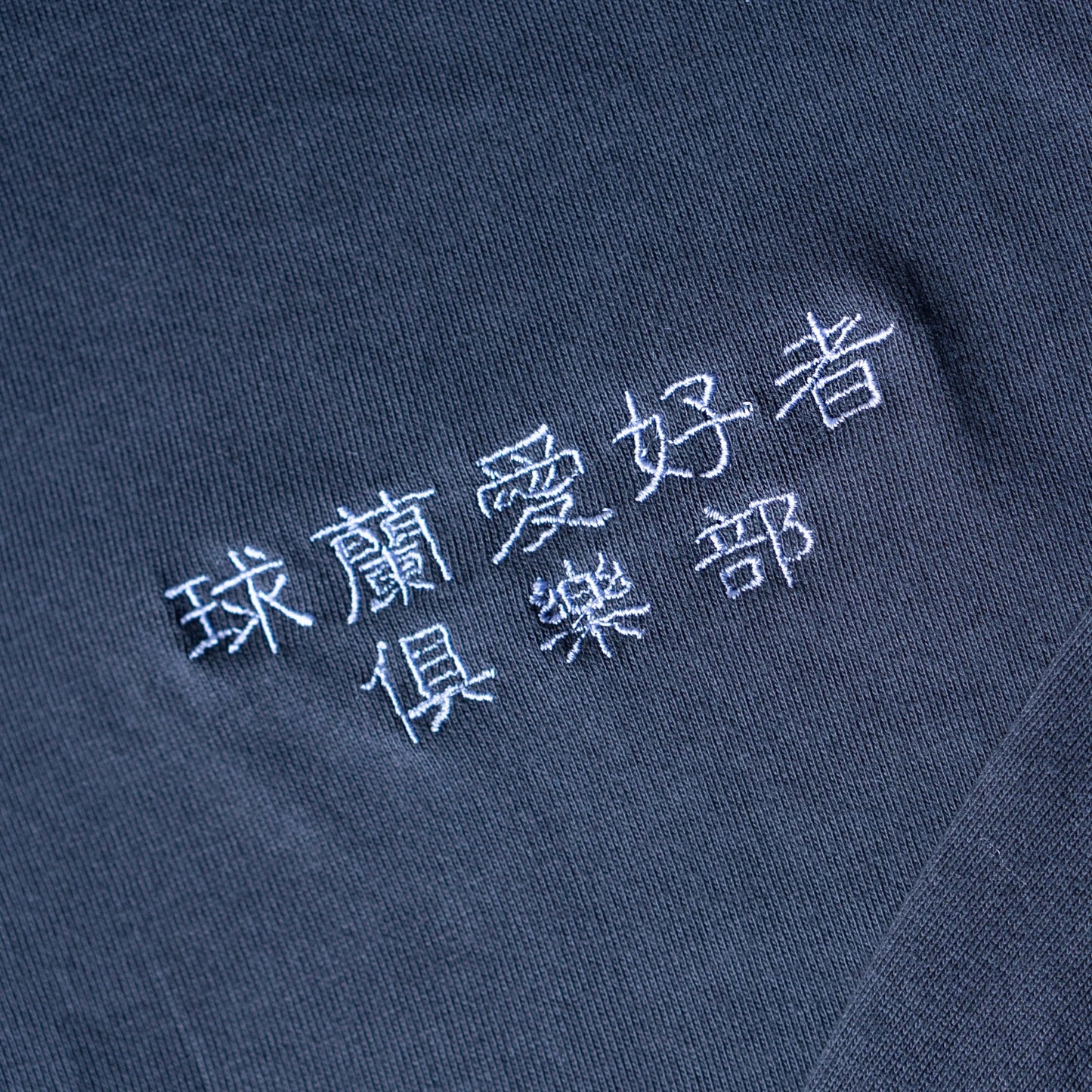 【漢字ver.】ホヤ普及委員会ロングTシャツ日時指定できません