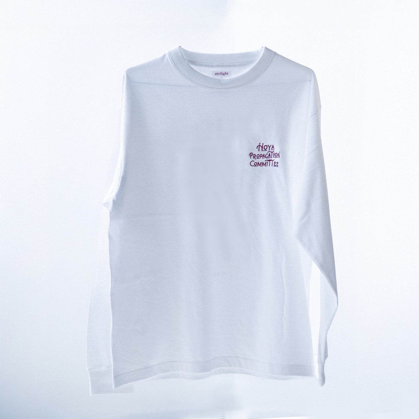 【英語ver.】ホヤ普及委員会ロングTシャツ※日時指定できません