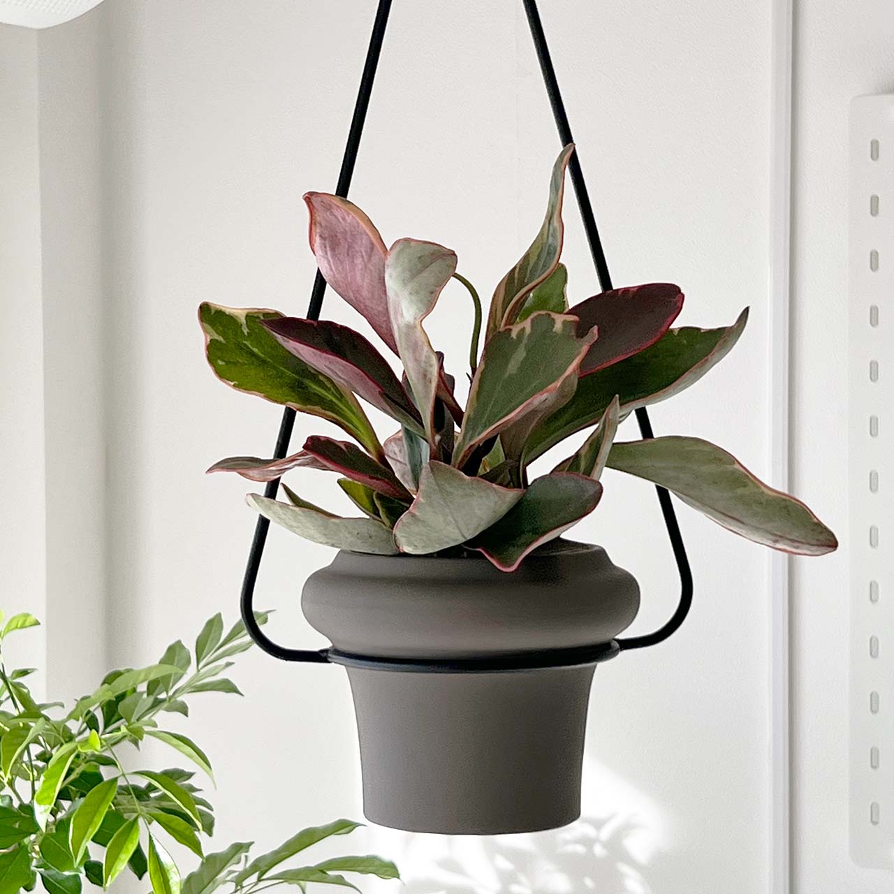 【セット商品】陶器 鉢カバー + 金属製ハンガー 吊り鉢 おしゃれ ハンギング 3 3.5号