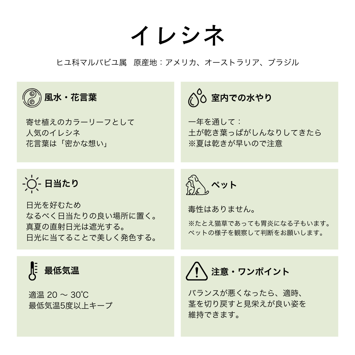 イレシネ レッド