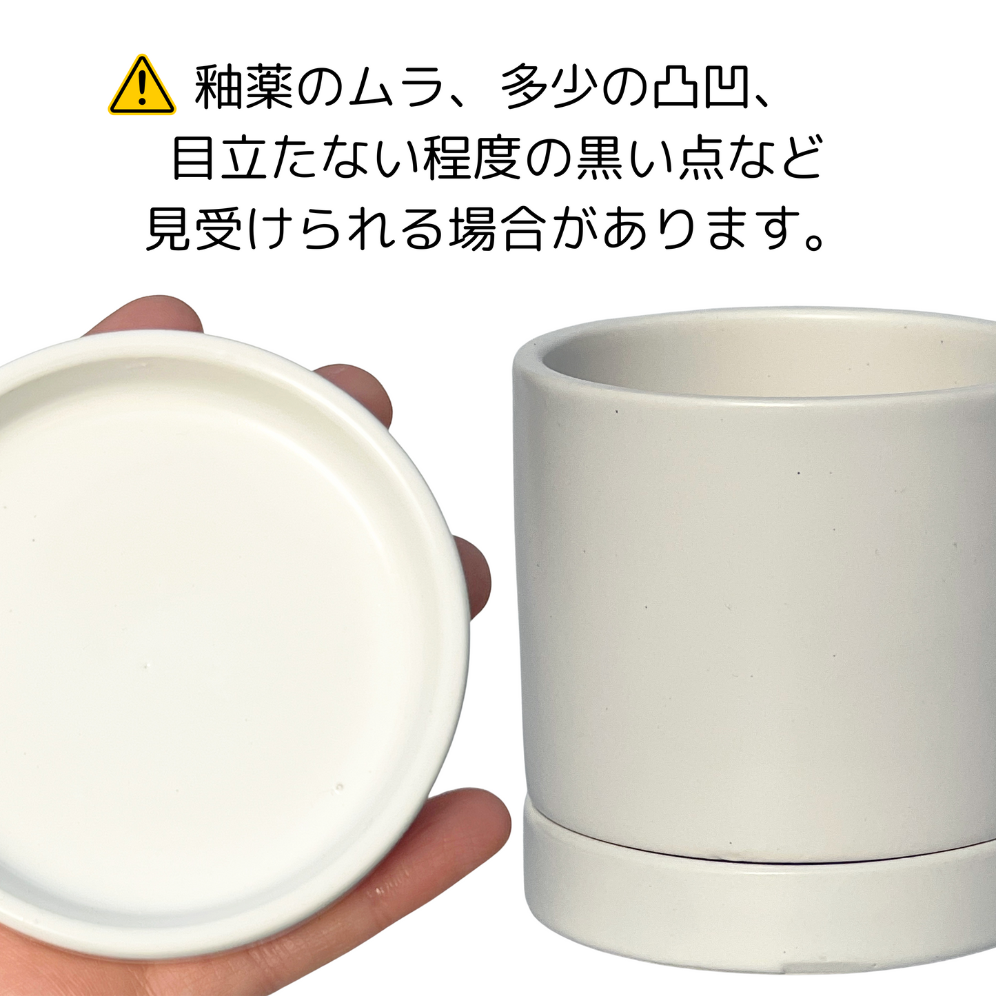 ヒポエステス ピンク