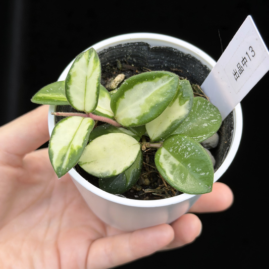新商品 – inakougei