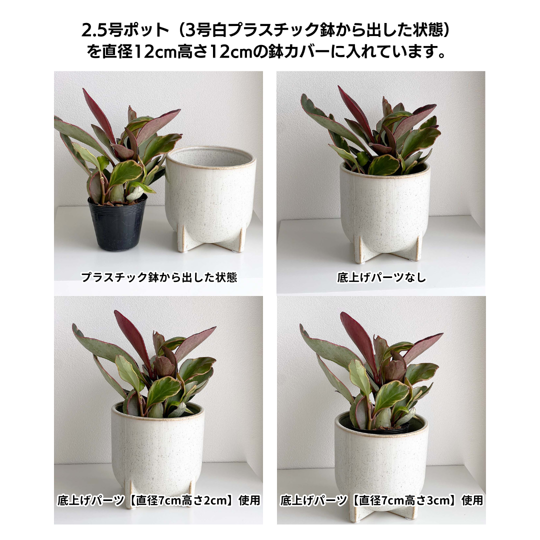 鉢カバー内の高さ調整、蒸れ予防に『底上げパーツ』直径3〜20cm 高さ1 鉢カバー内の高さ調整、蒸れ予防に『底上げパーツ』直径3〜20cm 高さ1