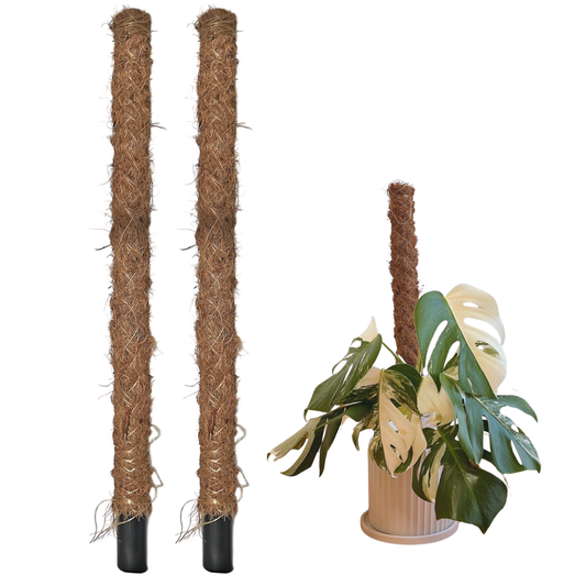 ココポール 2本 支柱 セット