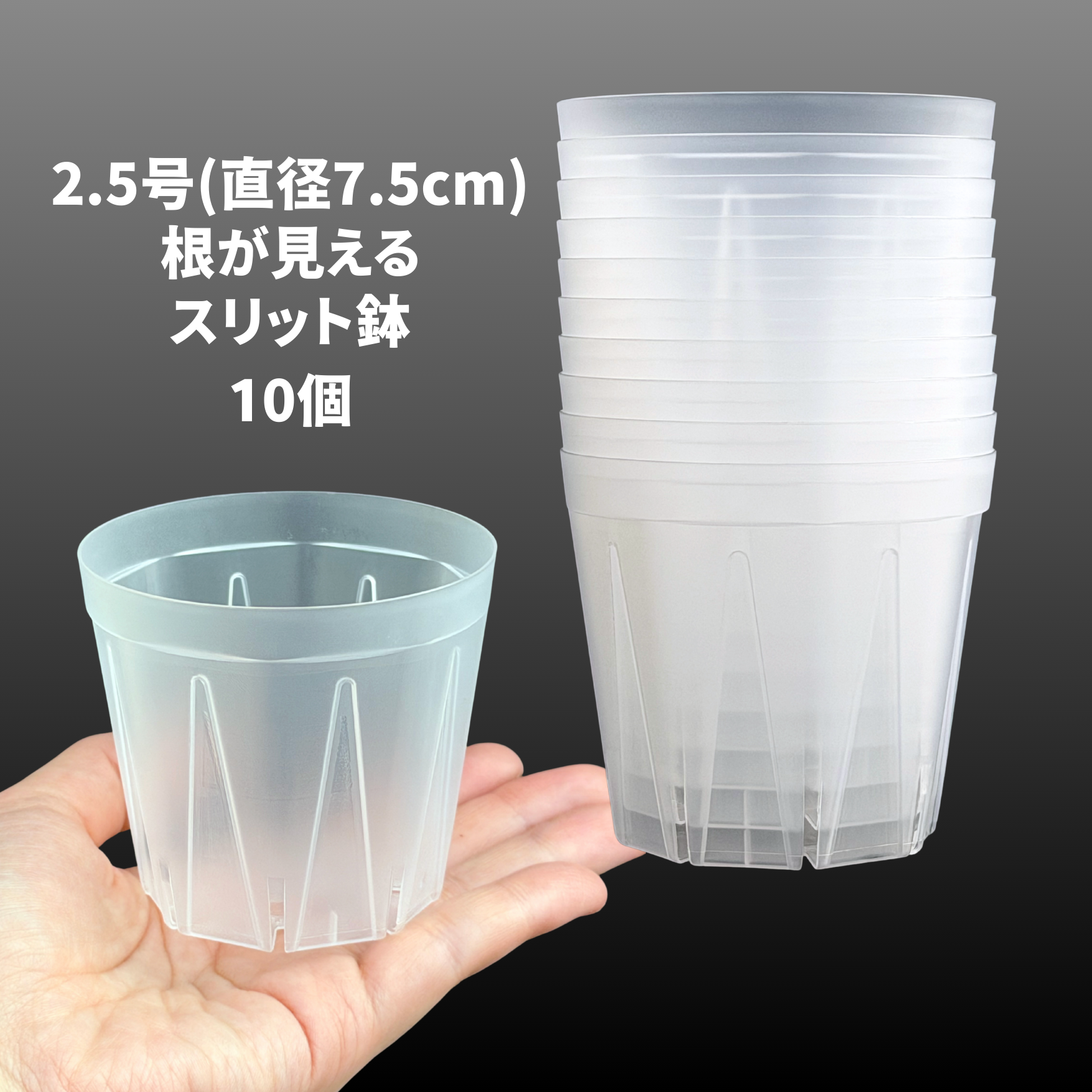 透明スリット鉢 2.5号/3号/4号 根が見える 日本製 兼弥産業 観葉植物 透明スリット鉢 2.5号/3号/4号 根が見える 日本製 兼弥産業 観葉植物