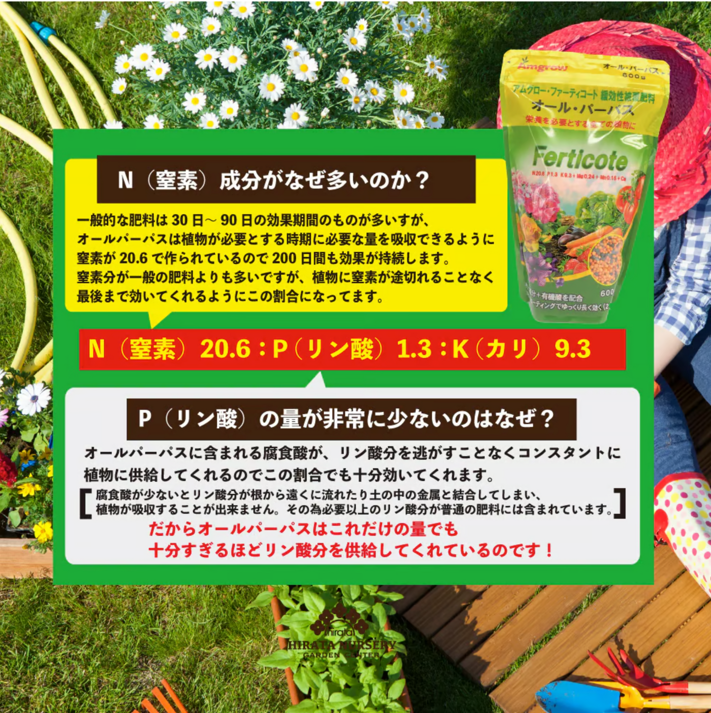 【2袋セット】アムグロー オール・パーパス 600g×2袋 肥料 長く効く 草花 球根 野菜 果樹 花木 鉢花 観葉植物 暖効性被覆肥料 元肥 追肥 ALL PURPOSE 花森家アンバサダー