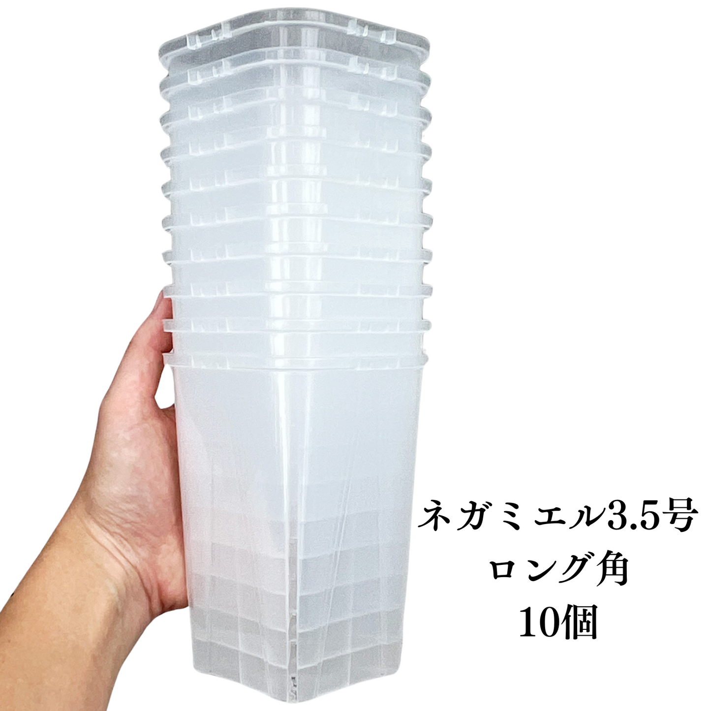 ネガミエル 透明スリット鉢 3号／3.5号／4号【浅岡園芸監修】観葉植物 プラスチック クリア 塊根植物 果樹苗 野菜苗 ハーブ 根が見える鉢 インテリアプランター