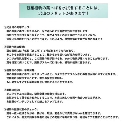 葉っぱの水拭きグローブ DUSTING GLOVE