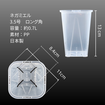 ネガミエル 透明スリット鉢 ロングポット 2.5号/3号/3.5号/4号/5号/6号/7号/8号【浅岡園芸監修】観葉植物 プラスチック クリア 塊根植物 果樹苗 野菜苗 ハーブ 根が見える鉢 インテリアプランター