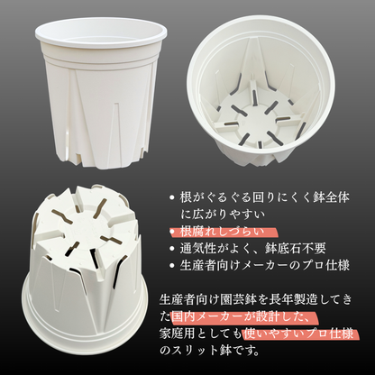 スリット鉢 白 【2.5号/3号/4号/5号/6号】すくすくいい根ポット ブラック ホワイト 日本製 三晃物産 プロ仕様 観葉植物 プラスチック 蘭 塊根植物 果樹苗 野菜苗 ハーブ インナーポット