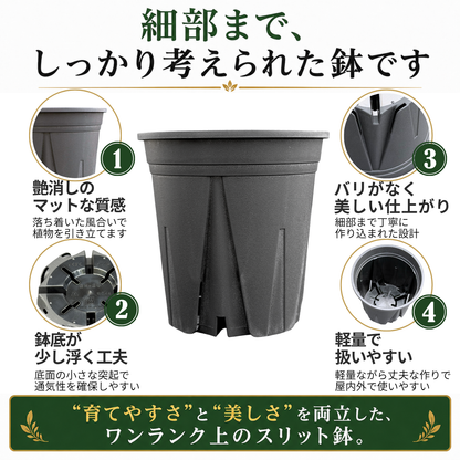 スリット鉢 白 【3号/3.5号/4号/5号/6号/7号】すくすくいい根ポット 日本製 三晃物産 プロ仕様 観葉植物 プラスチック 蘭 塊根植物 果樹苗 野菜苗 ハーブ インナーポット