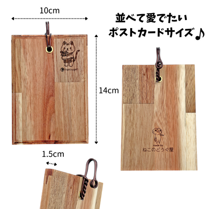 【現品販売】クリプタンサス ピンクスター 板付け ねこのふわふわEX ねこの着生板