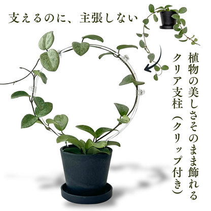 クリア支柱4本+クリアクリップ20個セット