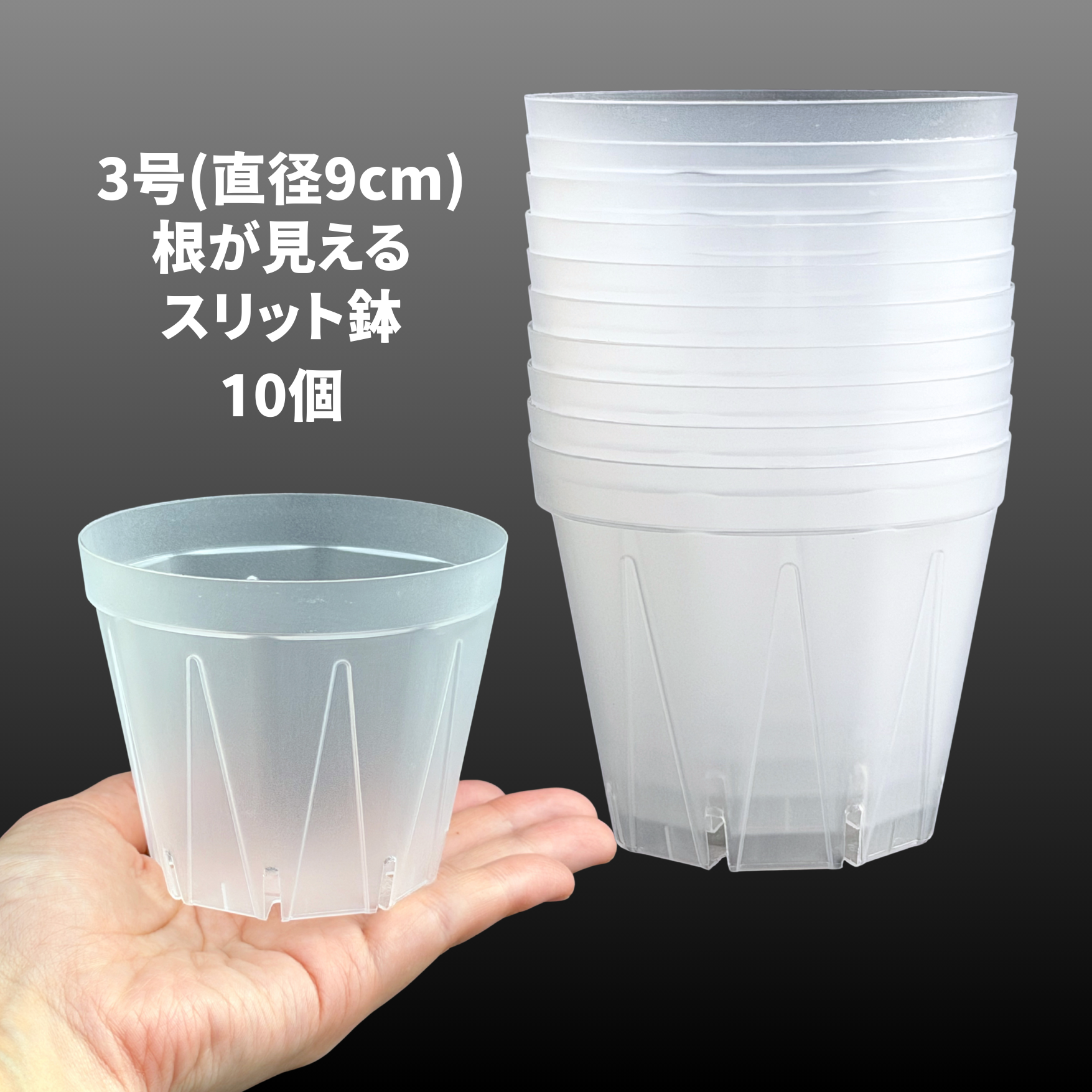 透明スリット鉢 2.5号/3号/4号 根が見える 日本製 兼弥産業 観葉植物 透明スリット鉢 2.5号/3号/4号 根が見える 日本製 兼弥産業 観葉植物