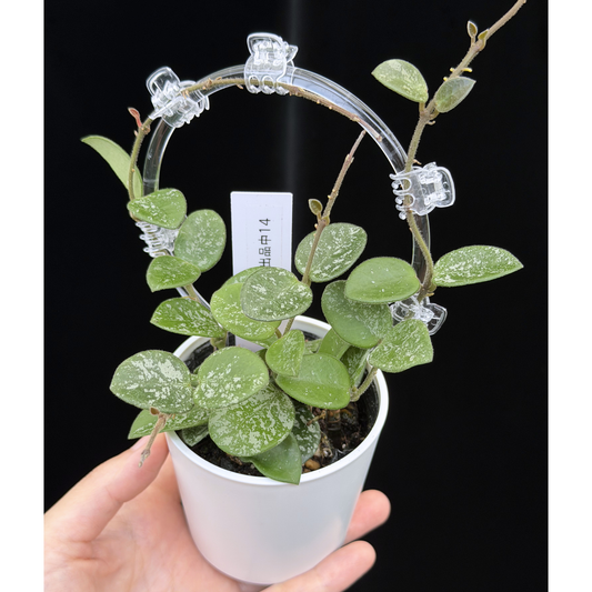 新商品 – inakougei