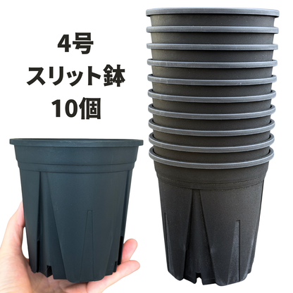 スリット鉢 黒  【2.5号/3号/4号/5号/6号】すくすくいい根ポット ブラック ホワイト 日本製 三晃物産 プロ仕様 観葉植物 プラスチック 蘭 塊根植物 果樹苗 野菜苗 ハーブ インナーポット