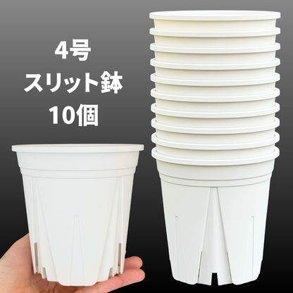 スリット鉢 白 【2.5号/3号/4号/5号/6号】すくすくいい根ポット ブラック ホワイト 日本製 三晃物産 プロ仕様 観葉植物 プラスチック 蘭 塊根植物 果樹苗 野菜苗 ハーブ インナーポット