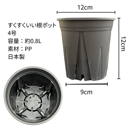 スリット鉢 黒  【2.5号/3号/4号/5号/6号】すくすくいい根ポット ブラック ホワイト 日本製 三晃物産 プロ仕様 観葉植物 プラスチック 蘭 塊根植物 果樹苗 野菜苗 ハーブ インナーポット