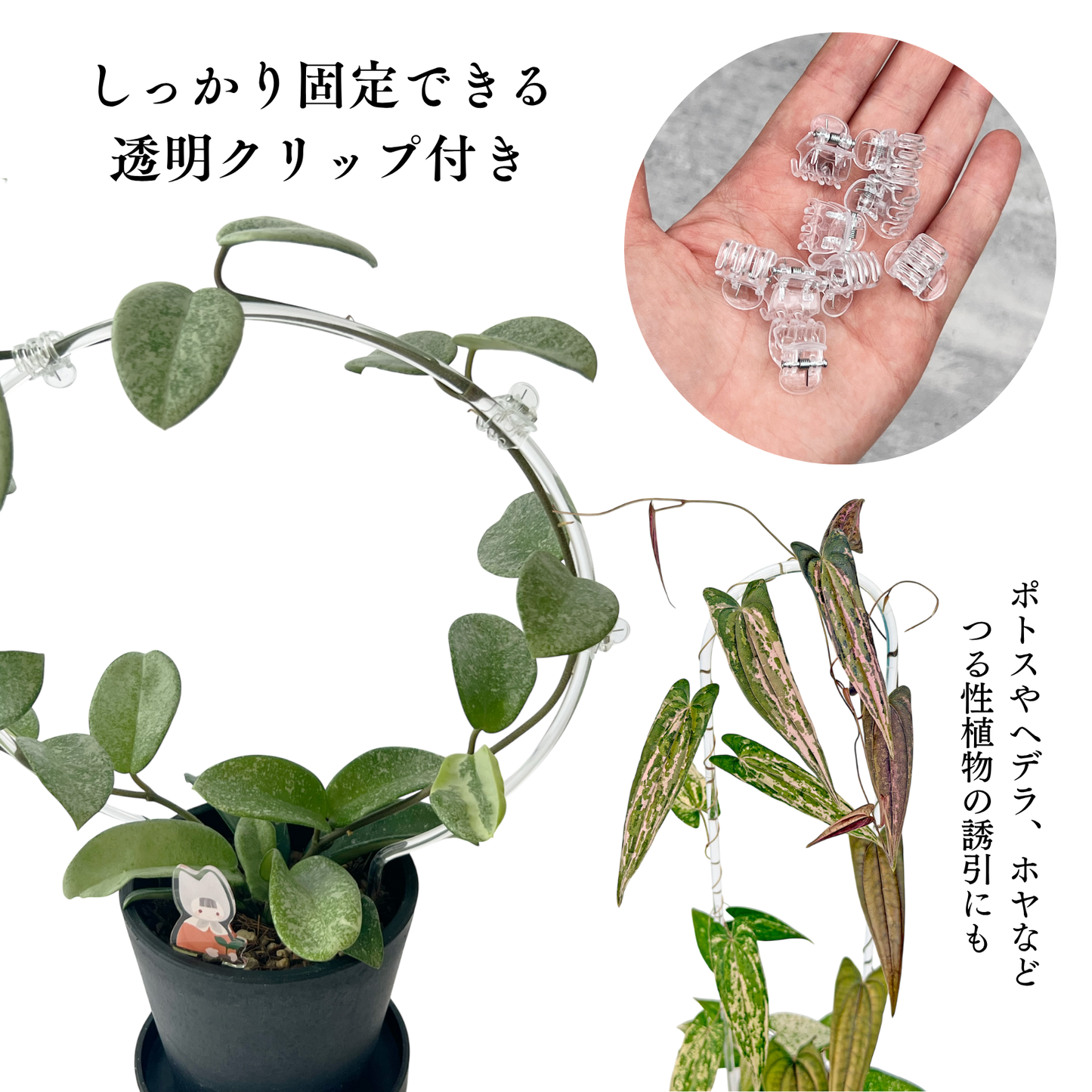 クリア支柱4本+クリアクリップ20個セット