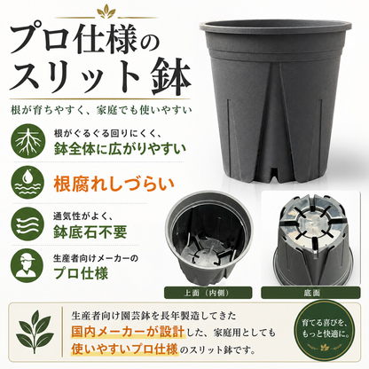 スリット鉢 黒  【3号/3.5号/4号/5号/6号/7号】すくすくいい根ポット 日本製 三晃物産 プロ仕様 観葉植物 プラスチック 蘭 塊根植物 果樹苗 野菜苗 ハーブ インナーポット