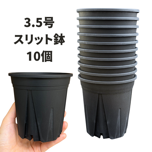 スリット鉢 3.5号 10個 すくすくいい根ポット ブラック ホワイト 日本製 三晃物産 プロ仕様 直径10.5cm 高さ10.5cm 観葉植物 プラスチック 蘭 塊根植物 果樹苗 野菜苗 ハーブ インナーポット