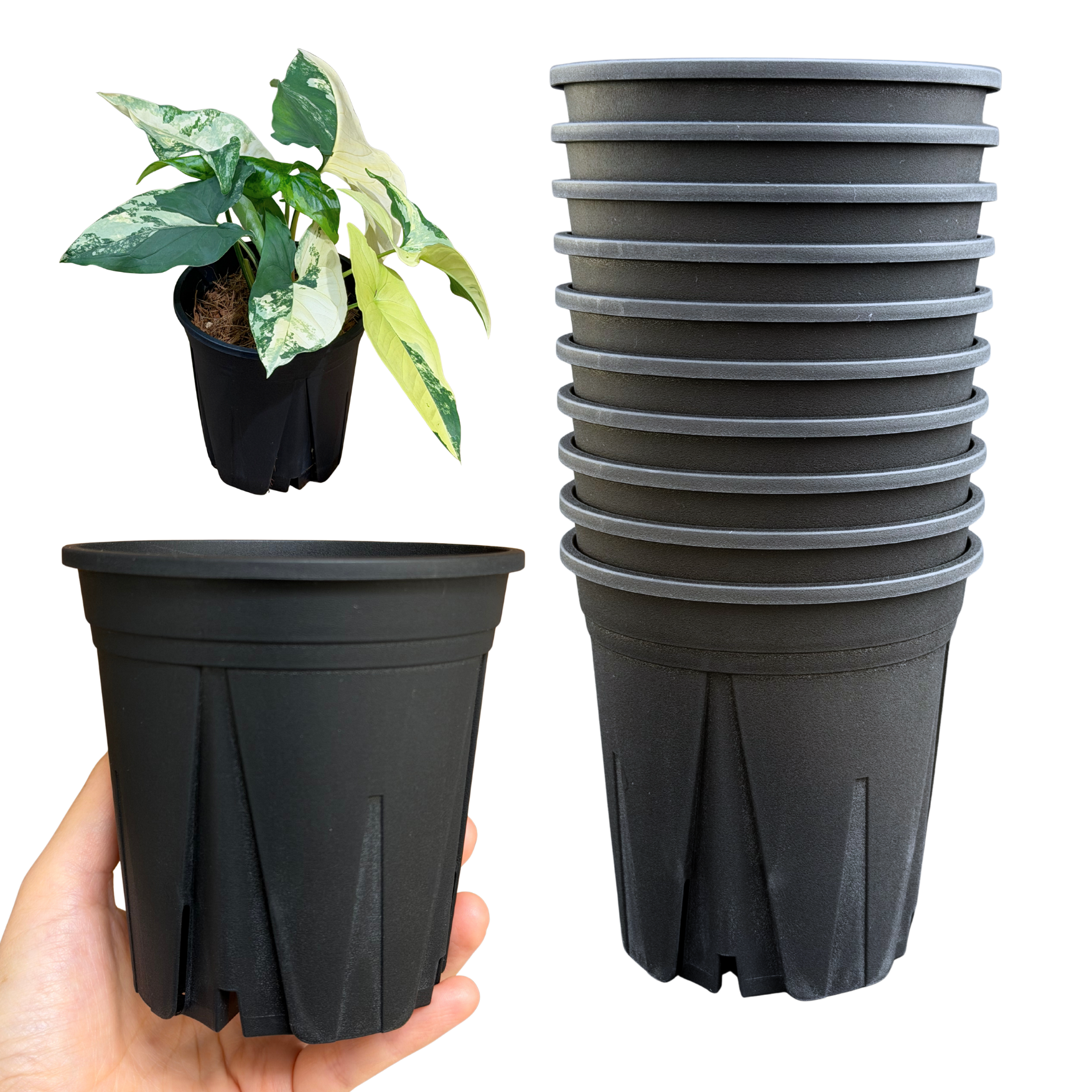 スリット鉢 3.5号 10個 すくすくいい根ポット ブラック ホワイト 日本 スリット鉢 3.5号 10個 すくすくいい根ポット ブラック ホワイト 日本