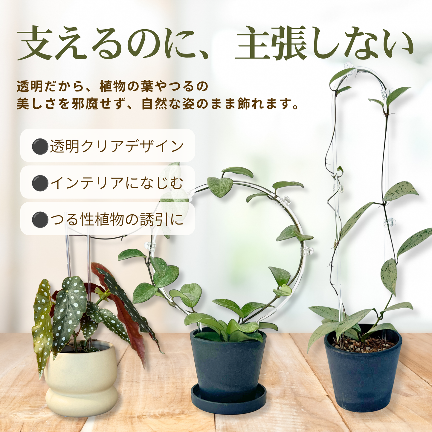 【丸型/U字型】クリア支柱4本+クリアクリップ20個セット