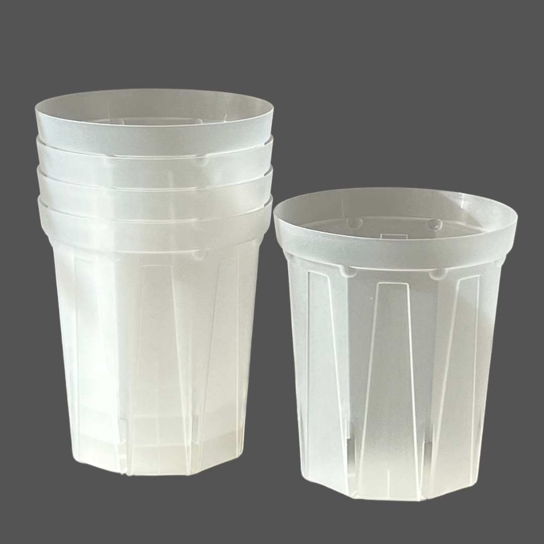 ネガミエル 透明スリット鉢 3号／3.5号／4号【浅岡園芸監修】観葉植物 プラスチック クリア 塊根植物 果樹苗 野菜苗 ハーブ 根が見える鉢 インテリアプランター