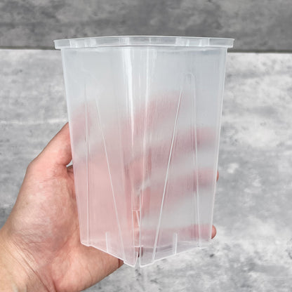 ネガミエル 透明スリット鉢 3号／3.5号／4号【浅岡園芸監修】観葉植物 プラスチック クリア 塊根植物 果樹苗 野菜苗 ハーブ 根が見える鉢 インテリアプランター