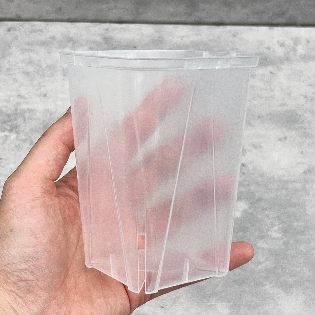 ネガミエル 透明スリット鉢 3号／3.5号／4号【浅岡園芸監修】観葉植物 プラスチック クリア 塊根植物 果樹苗 野菜苗 ハーブ 根が見える鉢 インテリアプランター