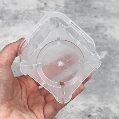 ネガミエル 透明スリット鉢 3号／3.5号／4号【浅岡園芸監修】観葉植物 プラスチック クリア 塊根植物 果樹苗 野菜苗 ハーブ 根が見える鉢 インテリアプランター