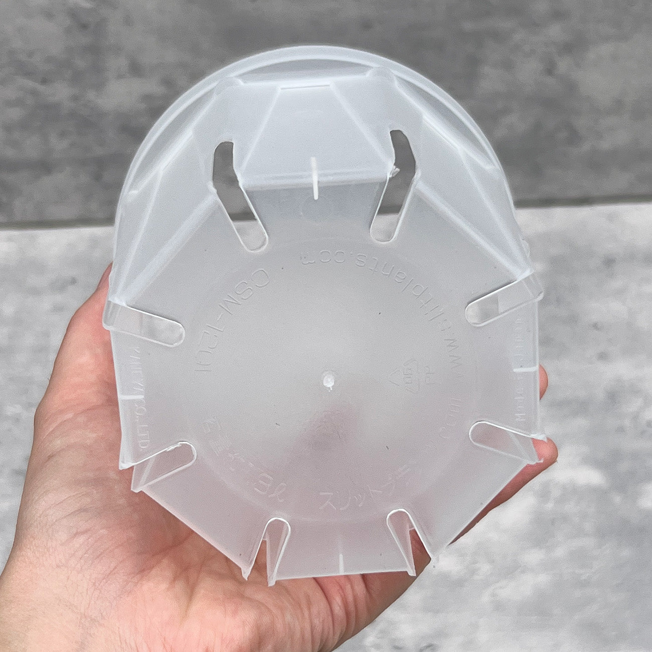 ネガミエル 透明スリット鉢 3号／3.5号／4号【浅岡園芸監修】観葉植物 プラスチック クリア 塊根植物 果樹苗 野菜苗 ハーブ 根が見える鉢 インテリアプランター
