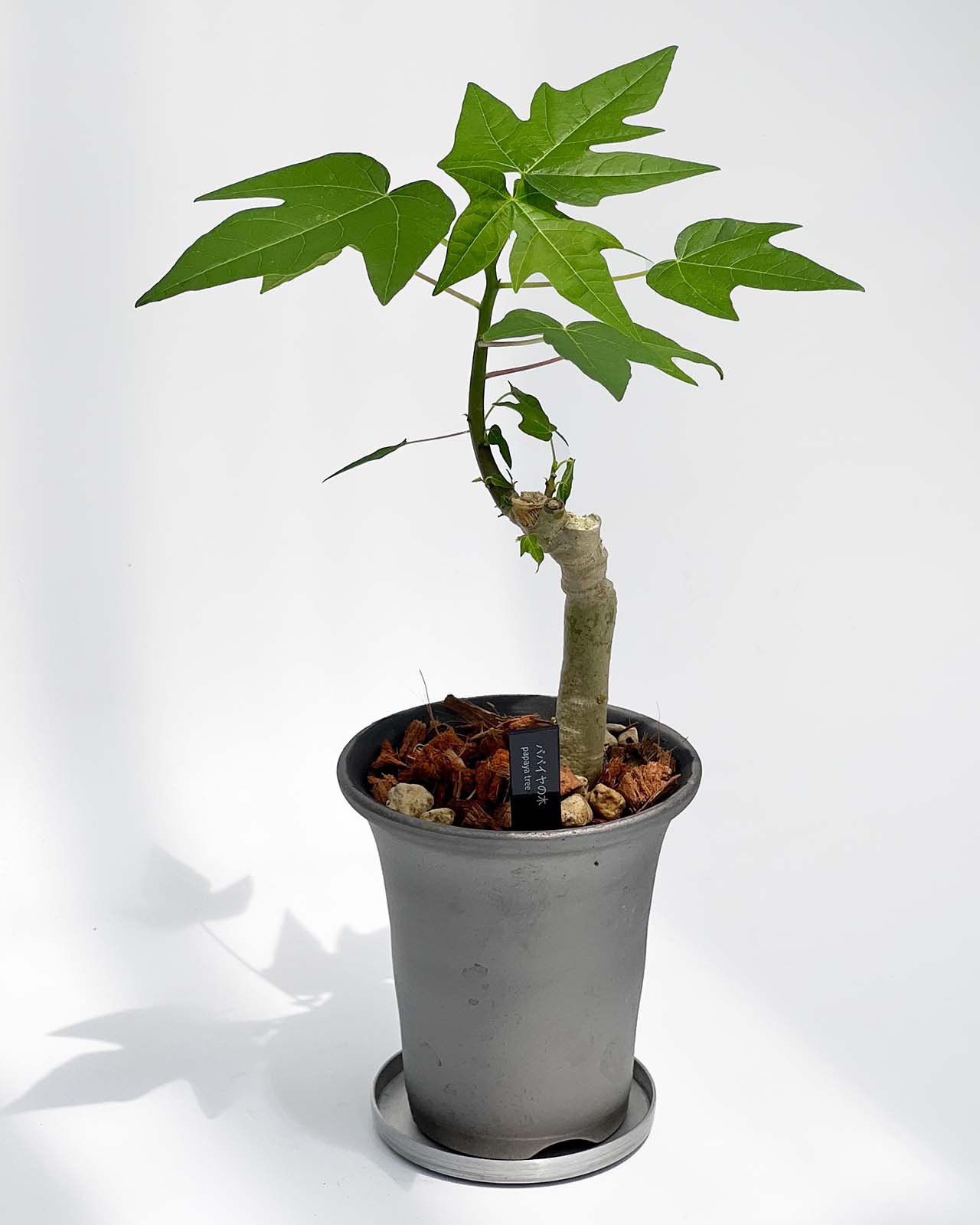 燻 鉢 アルミ 受け皿 SMOKED PLANTER T95