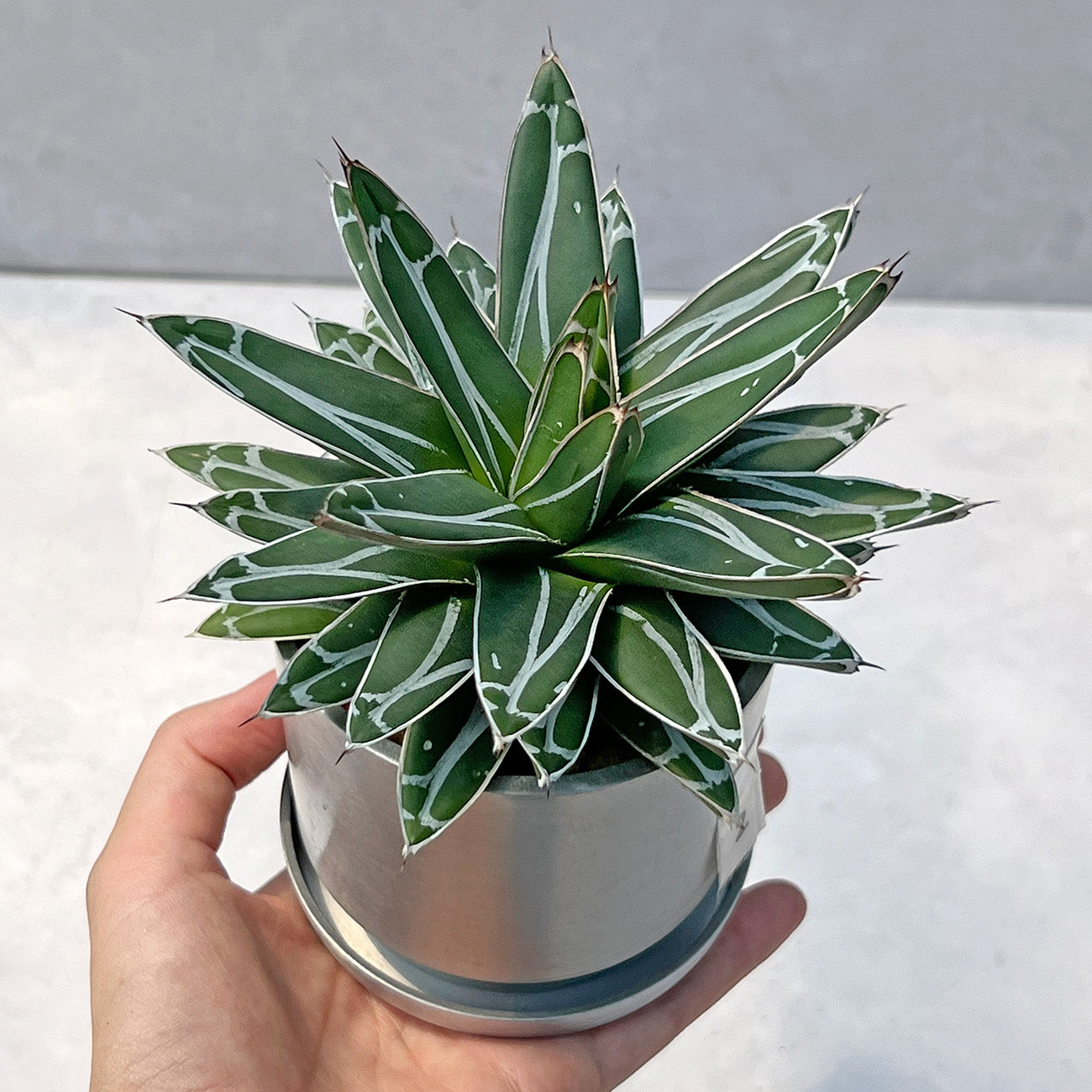 新商品 – inakougei
