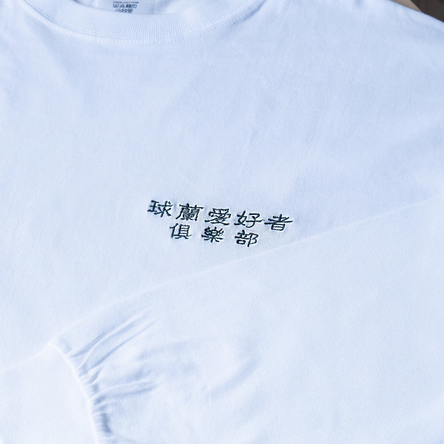 【漢字ver.】ホヤ普及委員会ロングTシャツ日時指定できません
