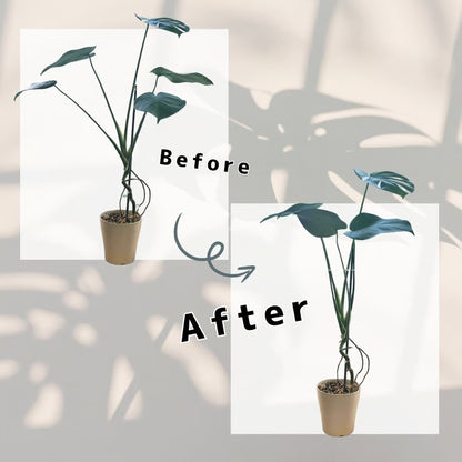 植物の広がり防止 SUPPORT STAKE 2個入り