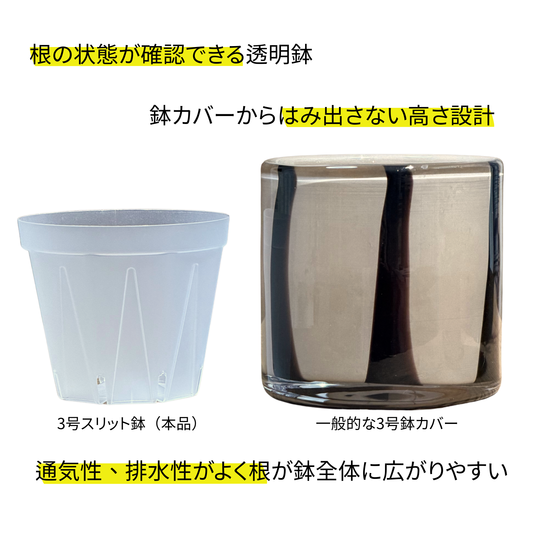 透明スリット鉢【2.5号/3号/4号】 根が見える 日本製 兼弥産業 観葉 透明スリット鉢【2.5号/3号/4号】 根が見える 日本製 兼弥産業 観葉